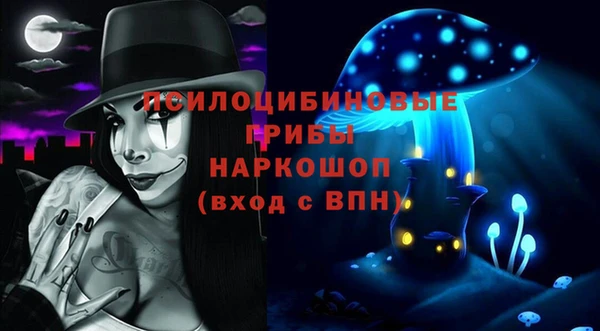 ГАЛЛЮЦИНОГЕННЫЕ ГРИБЫ Алзамай