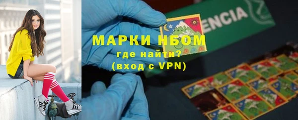 ГАЛЛЮЦИНОГЕННЫЕ ГРИБЫ Алзамай