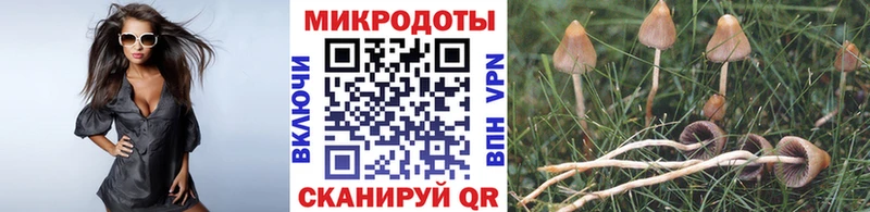 как найти наркотики  Арамиль  Псилоцибиновые грибы Cubensis 