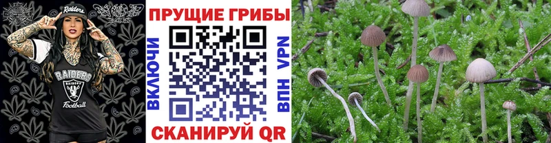 Псилоцибиновые грибы прущие грибы Арамиль